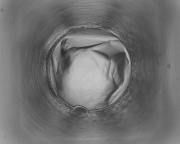 X0000074020194200609111657