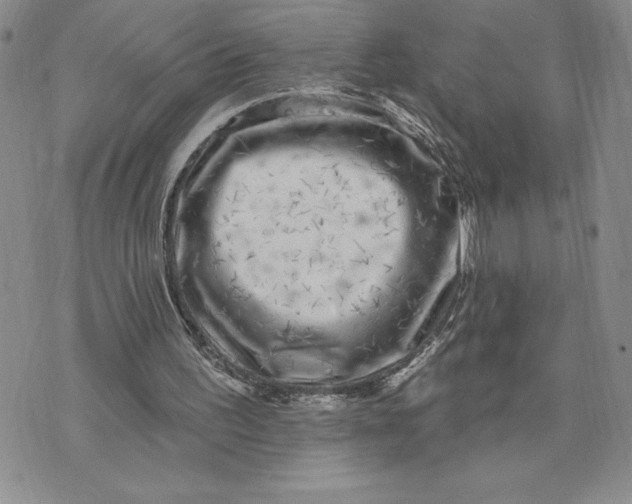 X0000074020195200609111657