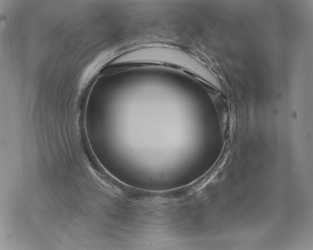 X0000074020197200609111657