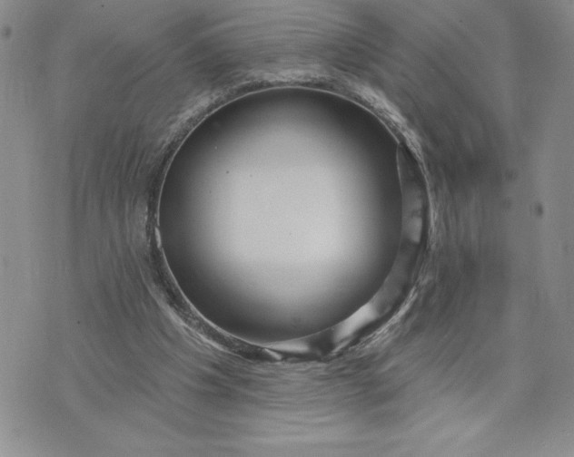 X0000074020201200609111657