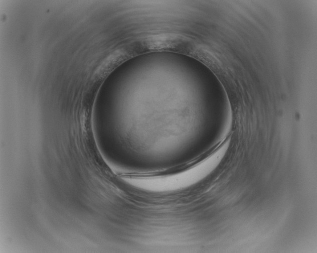 X0000074020219200609111657