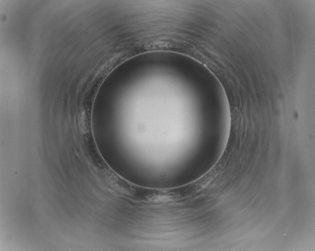 X0000074020224200609111657