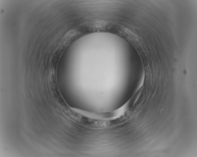 X0000074020225200609111657