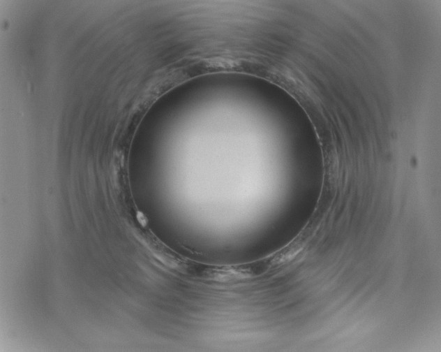 X0000074020229200609111656