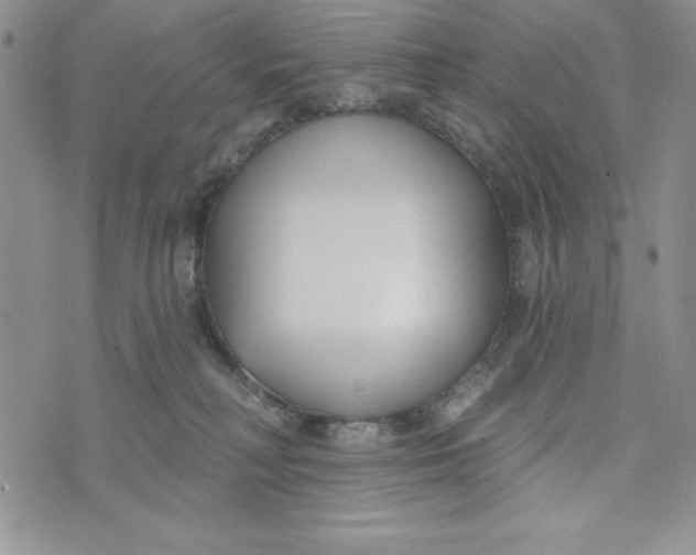 X0000074020230200609111656