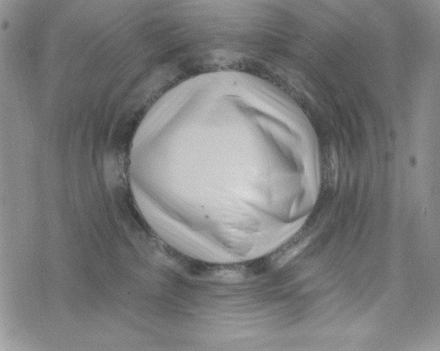 X0000074020236200609111656