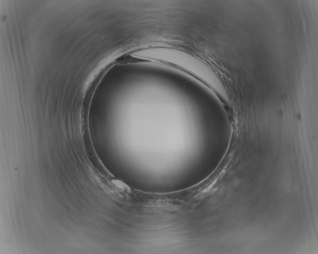 X0000074020244200609111656