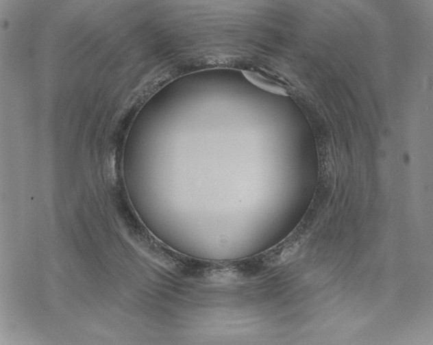 X0000074020262200609111656