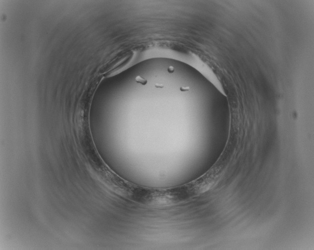 X0000074020263200609111656