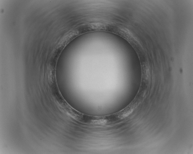 X0000074020266200609111656