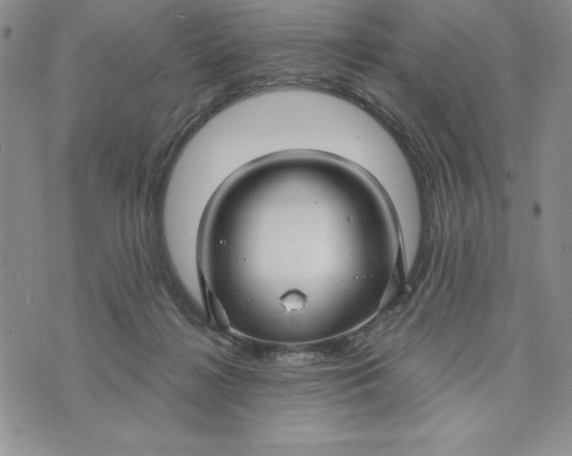 X0000074020268200609111656