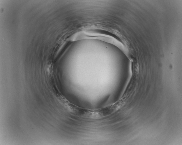 X0000074020276200609111656