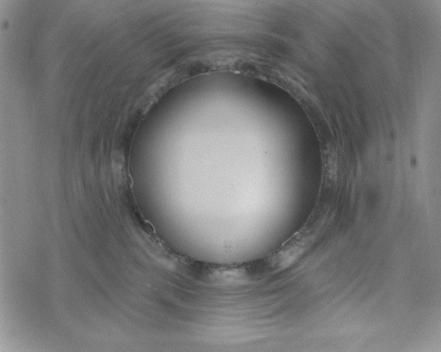 X0000074020283200609111656