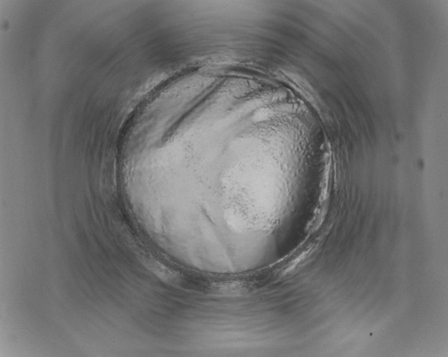 X0000074020301200609111655