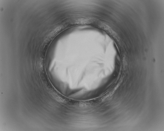 X0000074020305200609111655