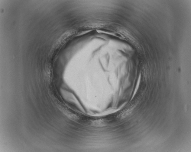X0000074020309200609111655