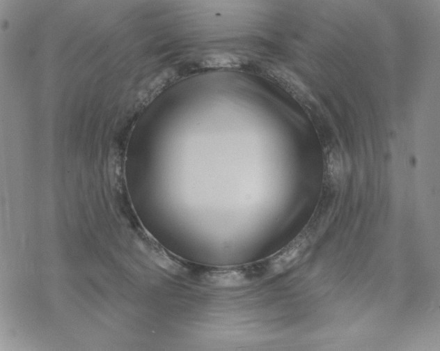 X0000074020322200609111655