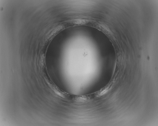 X0000074020325200609111655