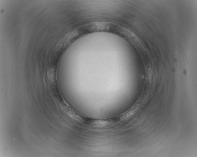 X0000074020326200609111655