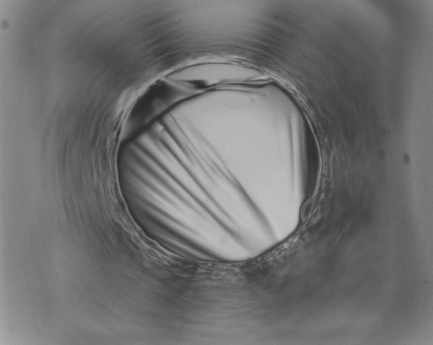 X0000074020337200609111654