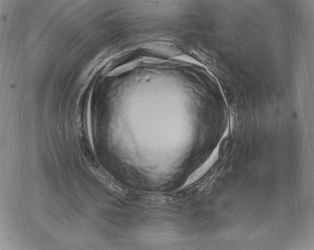 X0000074020339200609111654