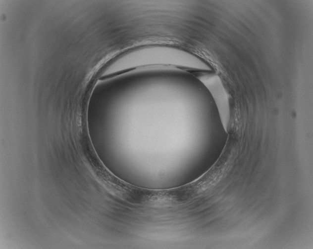 X0000074020348200609111654