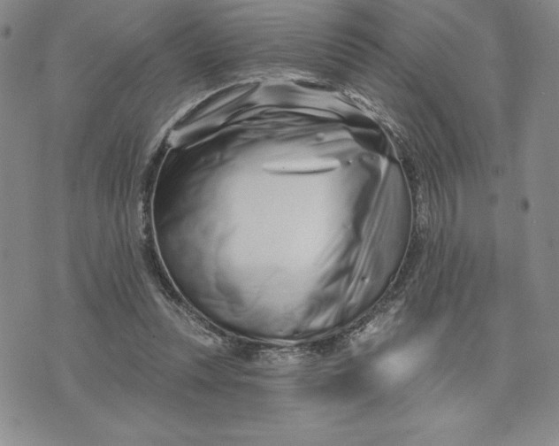 X0000074020351200609111654