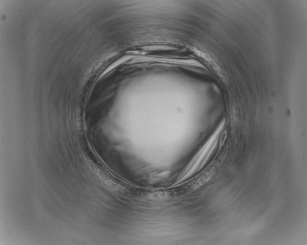 X0000074020353200609111654
