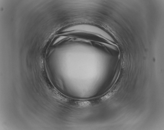 X0000074020355200609111654