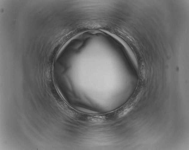 X0000074020359200609111654