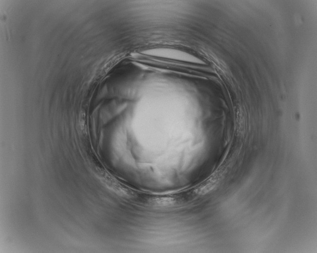 X0000074020361200609111654