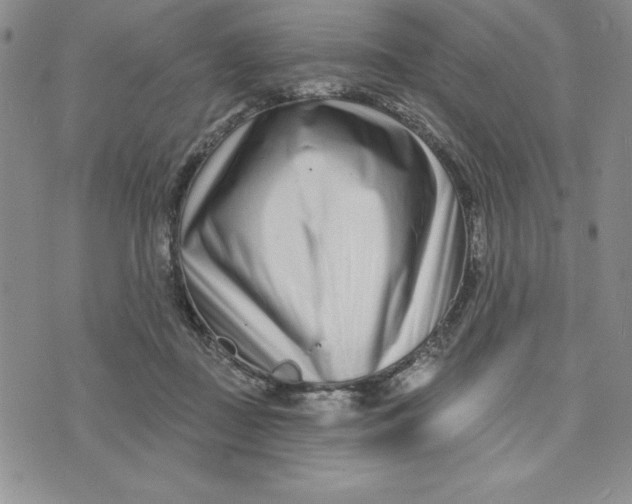 X0000074020363200609111654