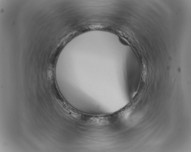 X0000074020367200609111654