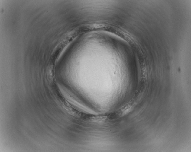 X0000074020373200609111655