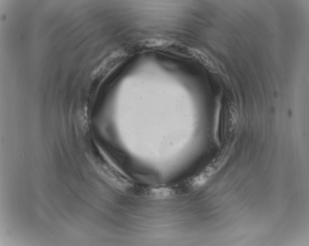 X0000074020376200609111655