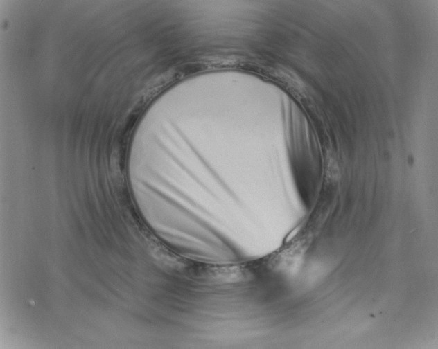 X0000074020377200609111655