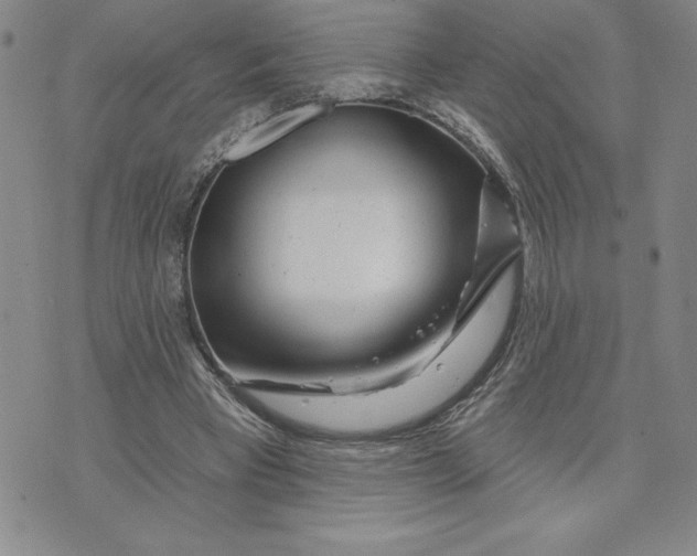X0000074020393200609111654