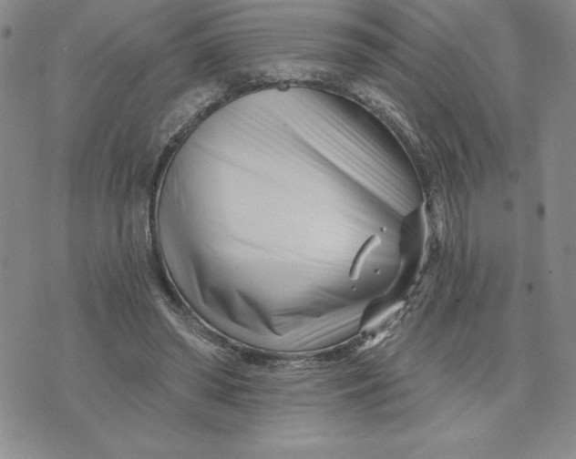 X0000074020398200609111654