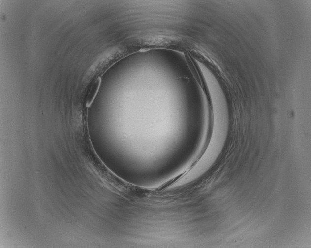 X0000074020407200609111654