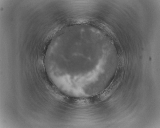 X0000074020415200609111653