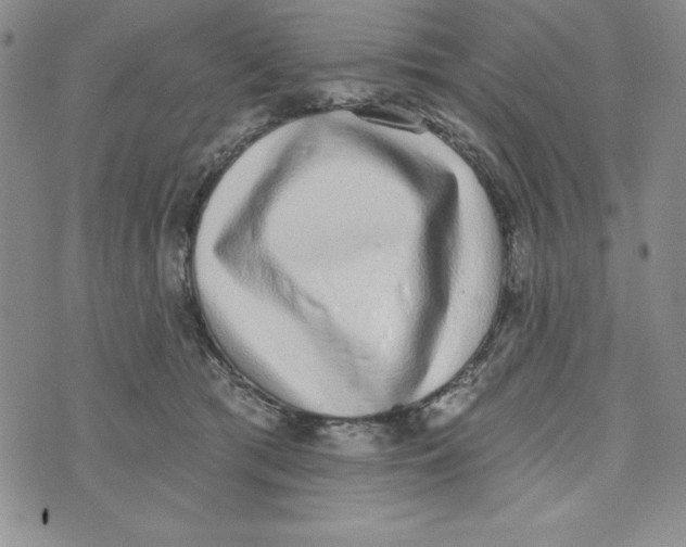 X0000074020417200609111653