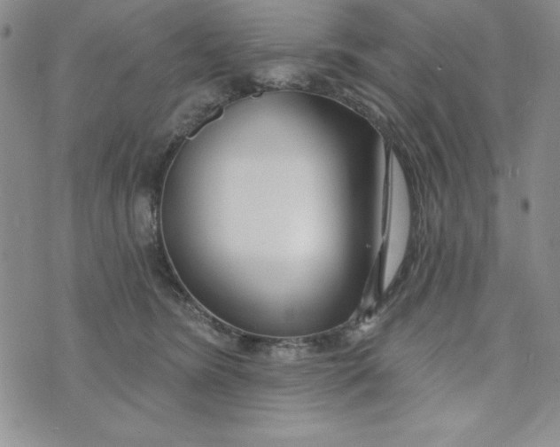 X0000074020420200609111653