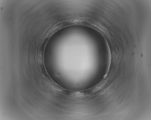 X0000074020421200609111653
