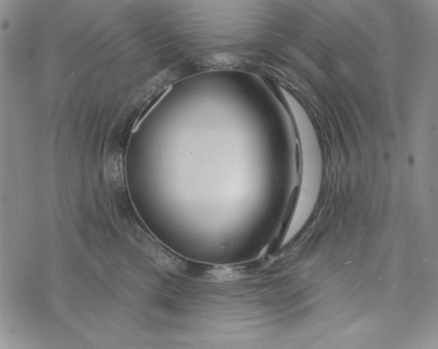 X0000074020425200609111653