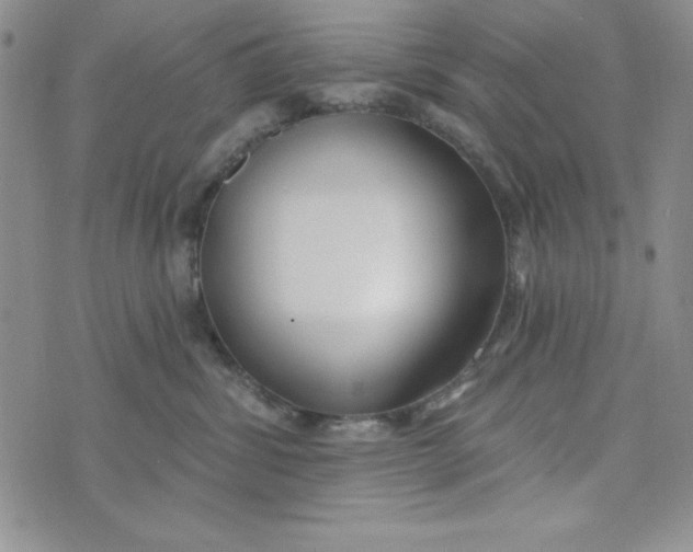 X0000074020428200609111653