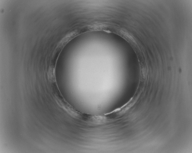 X0000074020429200609111653