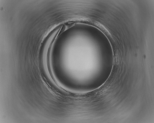 X0000074020436200609111652