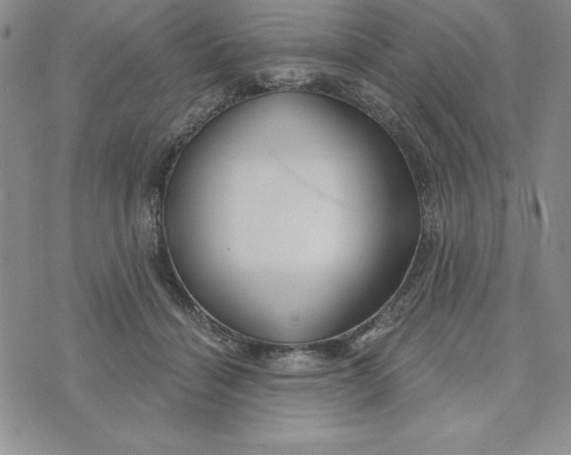 X0000074020460200609111653