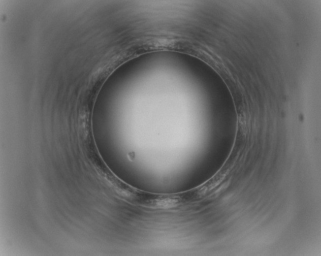 X0000074020462200609111653