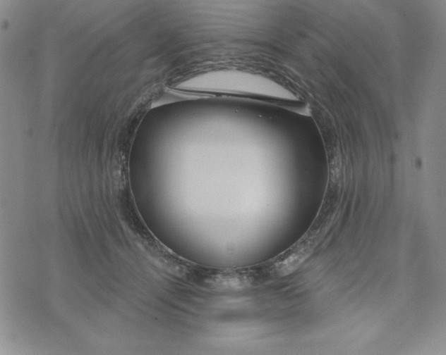 X0000074020464200609111653